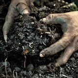 What Components Make for Ideal Soil?
