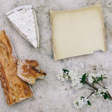 Make Your Own Cheese or Cheeze at Home