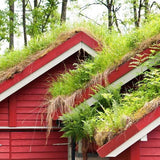 Introduction to Green Roofs