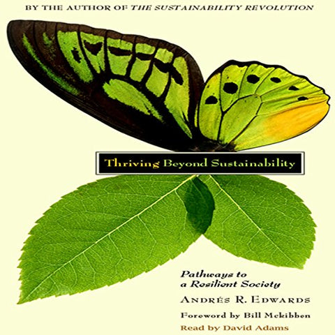 Thriving Beyond Sustainability (Audiobook)