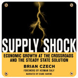 Supply Shock (Audiobook)