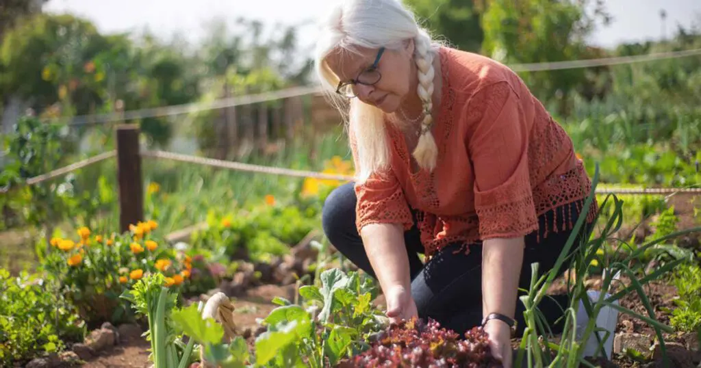 An older women on her knees gardening in her garden