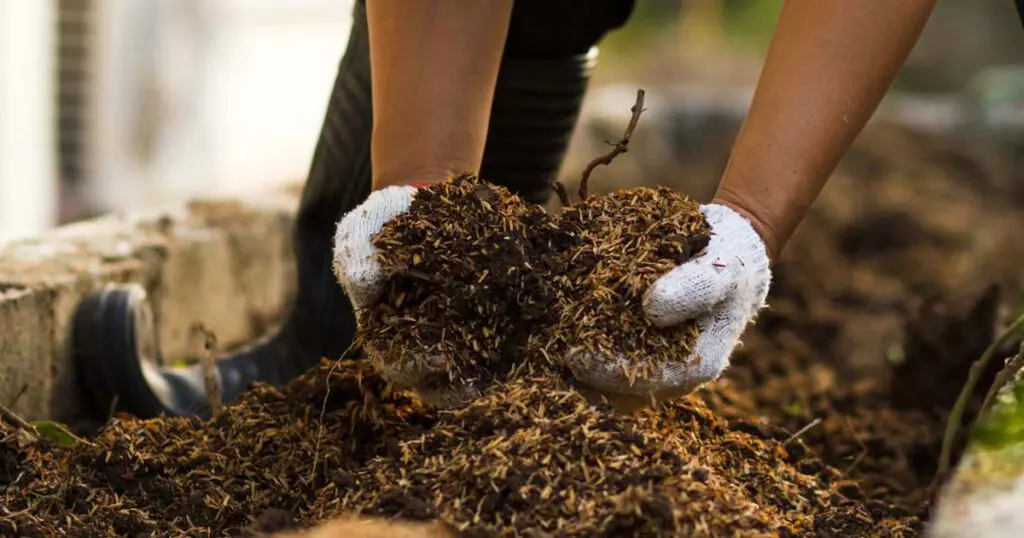 Someone working with rich looking soil.