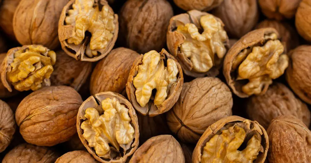 Walnuts in the half shell on top of walnuts within their shell