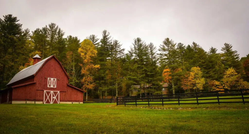 A red barn surrounded by fields in the front, and trees in the back