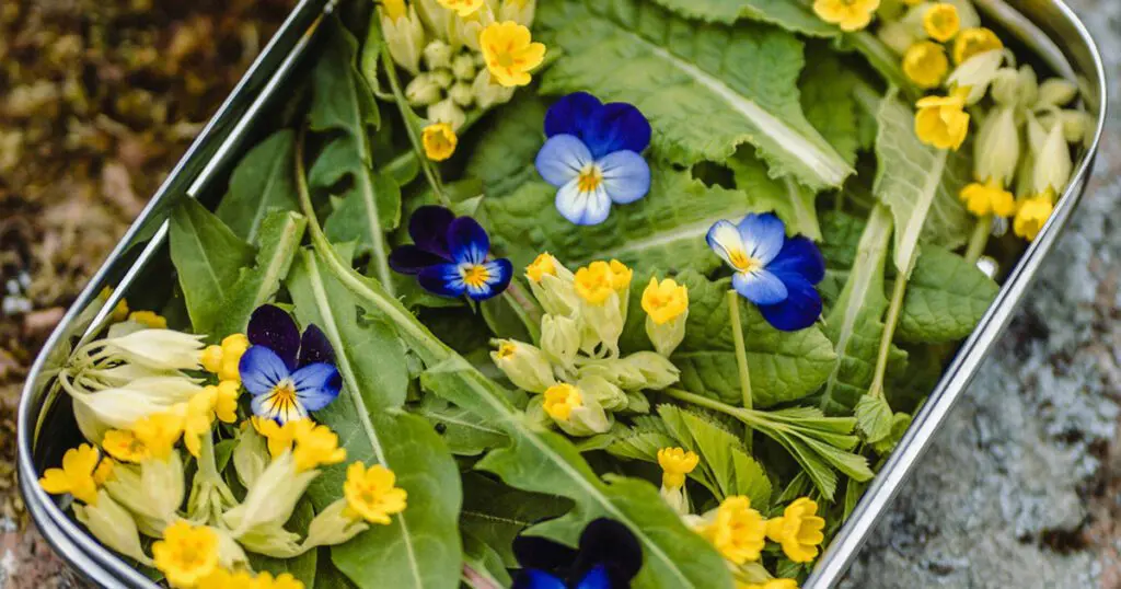 Foraged greens and flowers