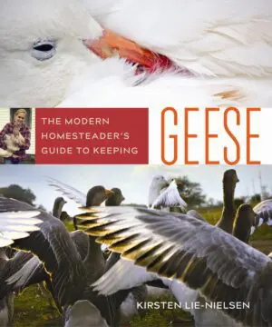 The-Modern-Homesteaders-Guide-to-Keeping-Geese_cover