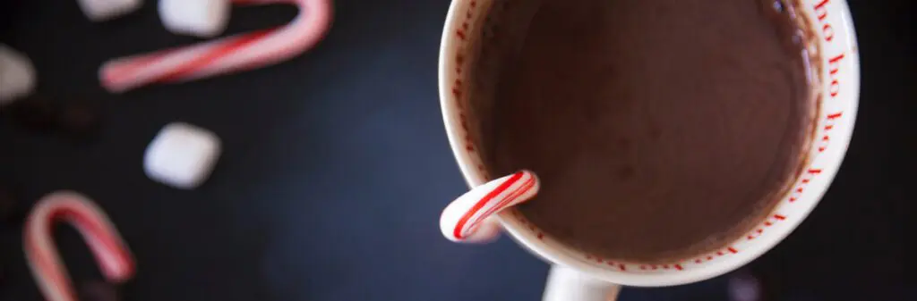 Aerial shot of a cup of cocoa in a Ho Ho mug with candy canes and small marshmallows scattered on the table.