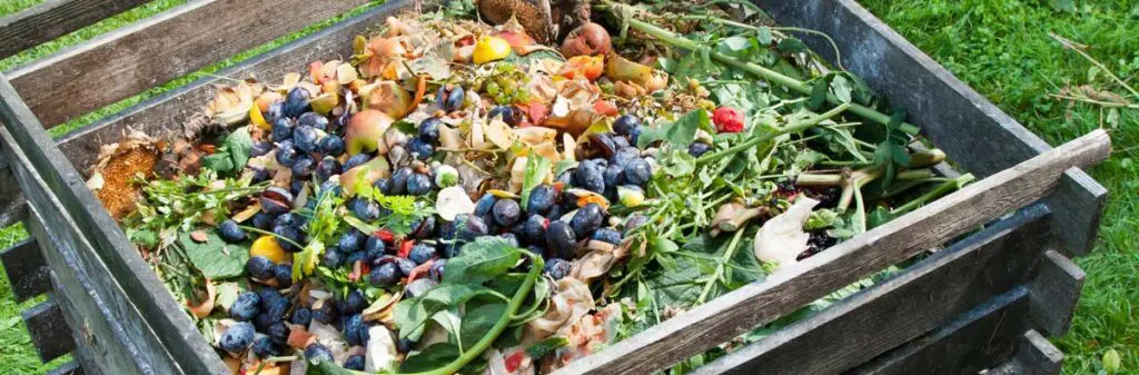 A wooden crate full of fruits and vegetables - apples, blueberries, grapes and leaves.