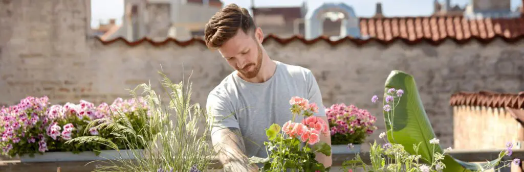 A young man tends to a flower garden.