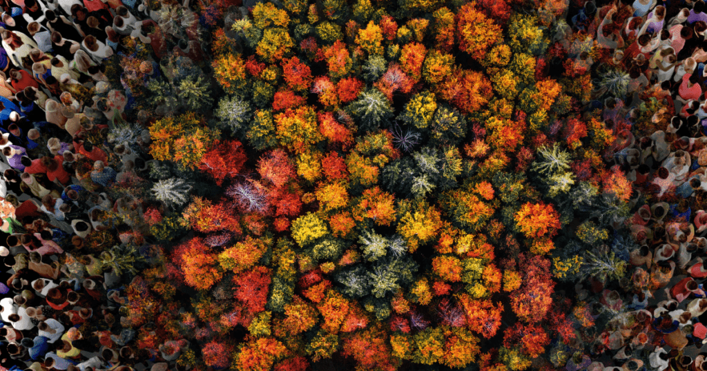 Vibrant trees in a group with crowds of people surrounding them.