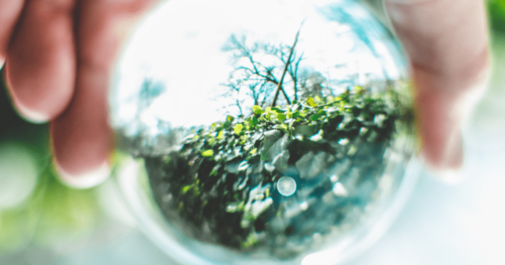 A clear ball with a reflection of a plants, dirt and flowers, sitting on the bark mulch ground