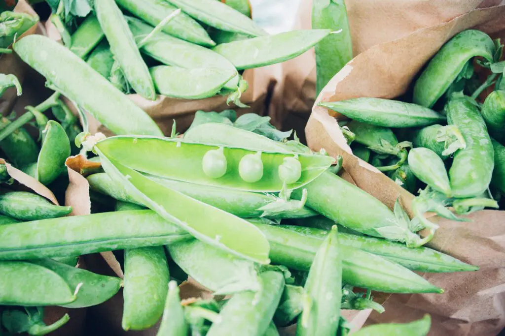 Bags full of peas in pods.