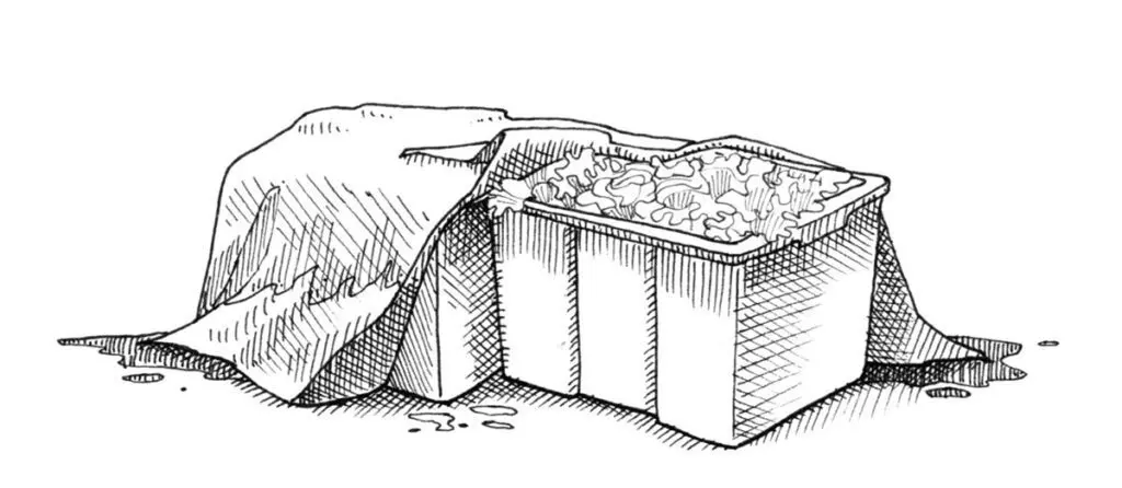 Illustration of two bins with crops and a cloth covering.