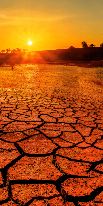 The product "Untitled design (1)" depicts cracked, dry earth under a vibrant, setting sun with a group of trees silhouetted against the horizon, emphasizing the profound environmental impact of climate change.