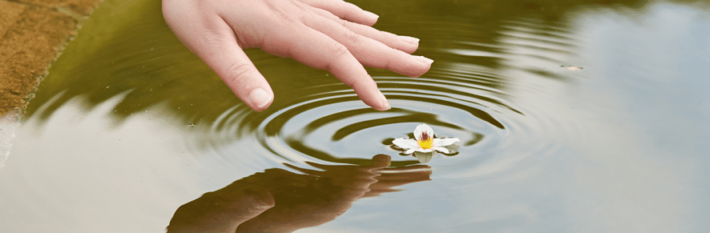 Fingers are reaching for a floating flower on rippling water.