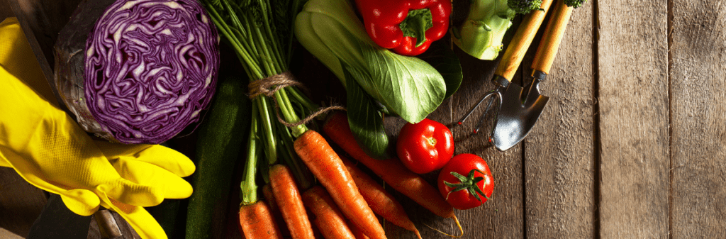 Fresh vegetables and gardening tools are artfully arranged on a wooden table.