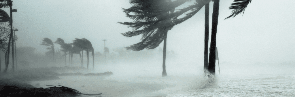 Strong winds bend palm trees as waves crash during Hurricane Helene