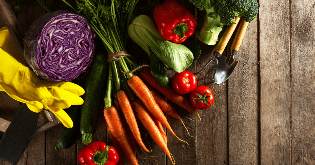 Fresh vegetables, gardening tools, and gloves rest on a wooden surface.