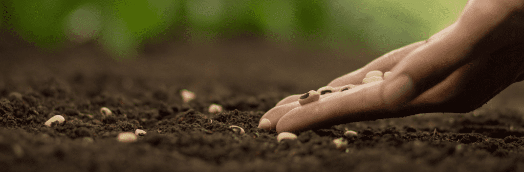 Hand planting seeds in soil, cultivating a vibrant market garden against a lush green backdrop.