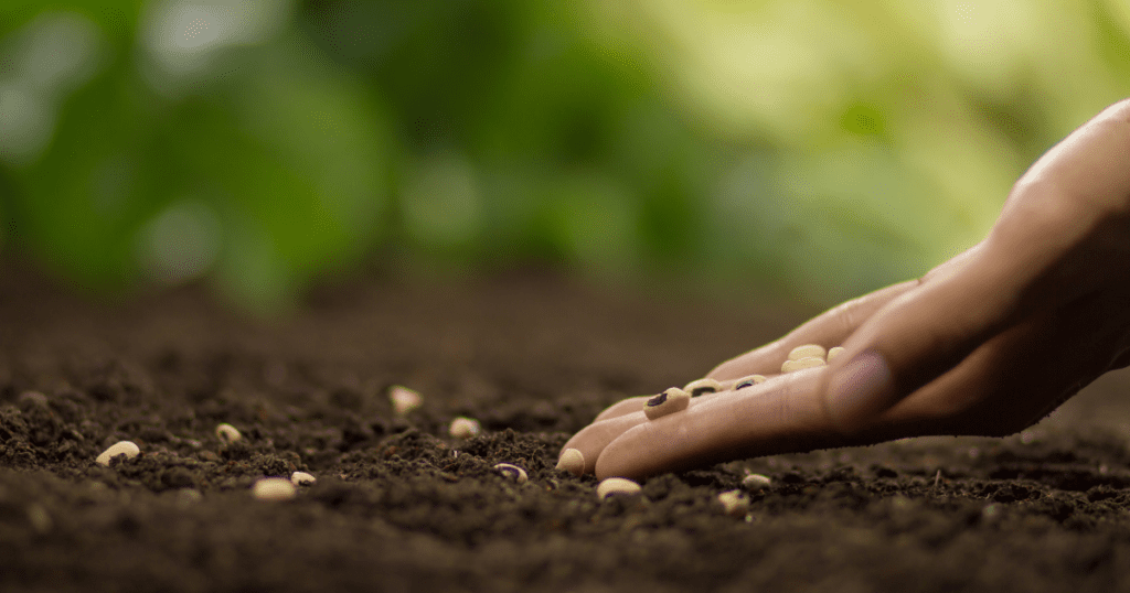 A hand planting seeds in soil with lush green plants in the background embodies the essence of a thriving market garden.