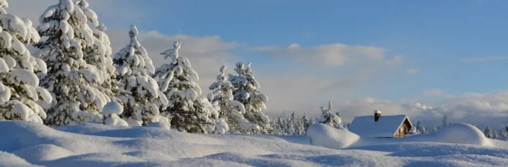 A white blanket of winter snow covers a line of trees leading to a cozy cabin.