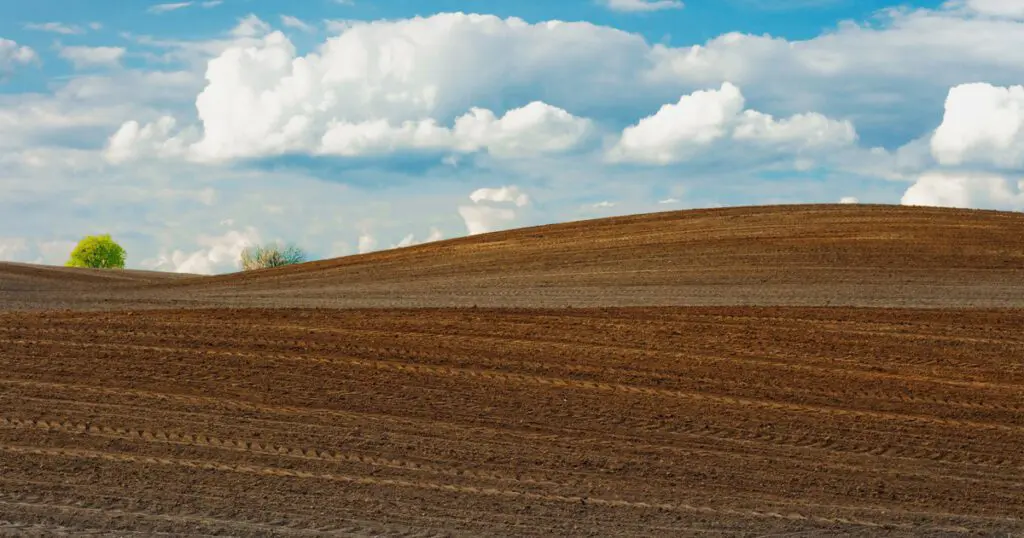 A healthy landscape of plowed farmland stretches across rolling hills beneath a blue sky dotted with fluffy white clouds, nurturing the planet's food system.