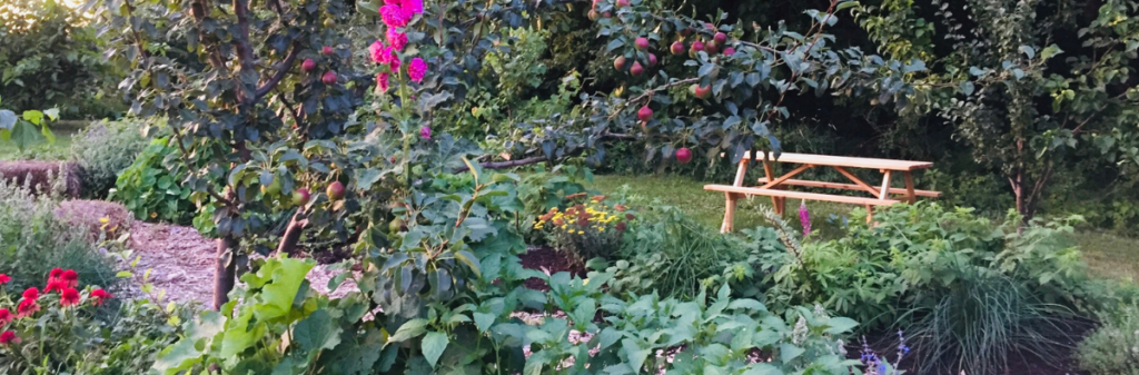 A lush garden ecosystem of flowers and plants with a picnic table in a central clearing.