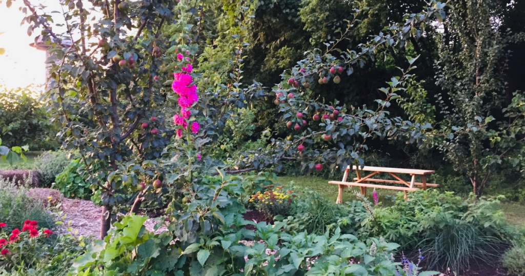 A lush garden ecosystem of flowers and plants with a picnic table in a central clearing.