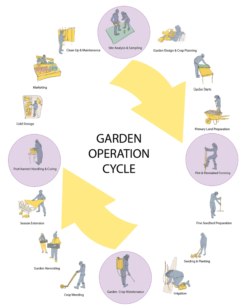 Circular diagram illustrating the garden operation cycle with key gardening activities.