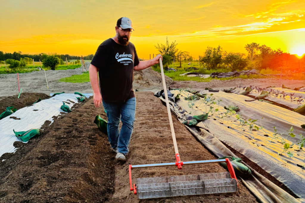 Person using a garden tool to prepare soil rows at sunset, part of the garden operation cycle.