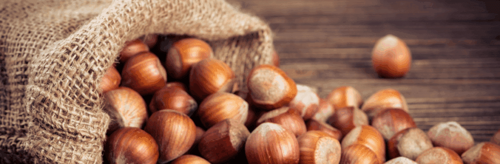 Hazelnuts spilling out of a burlap sack—a nutty idea for food security on a rustic surface.
