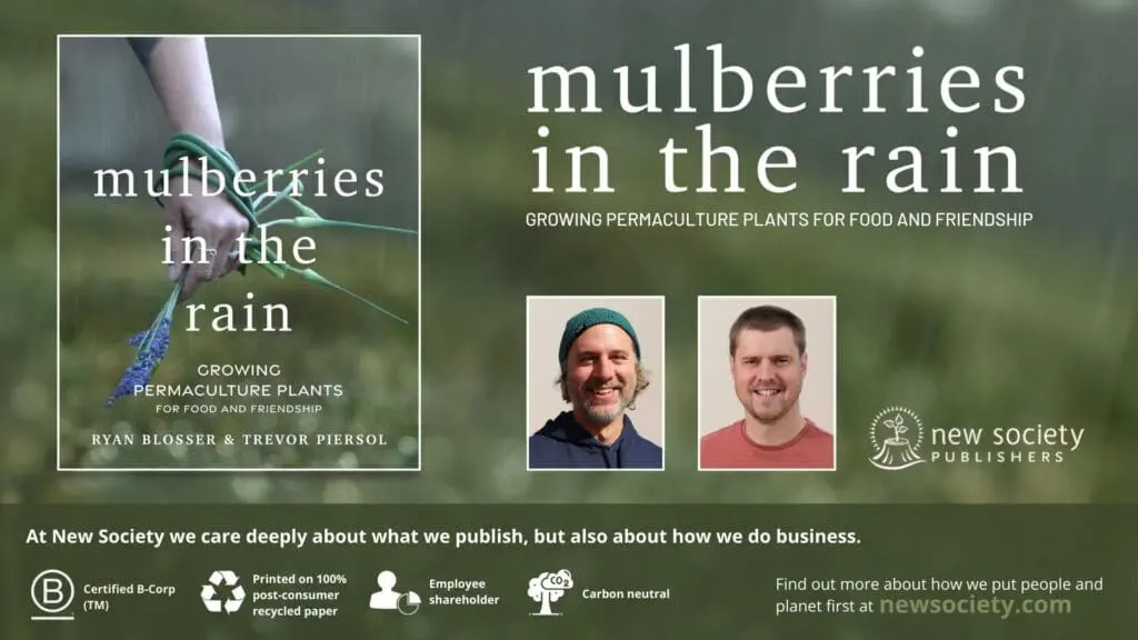 Book cover, author photos, and book introduction for "Mulberries in the Rain.