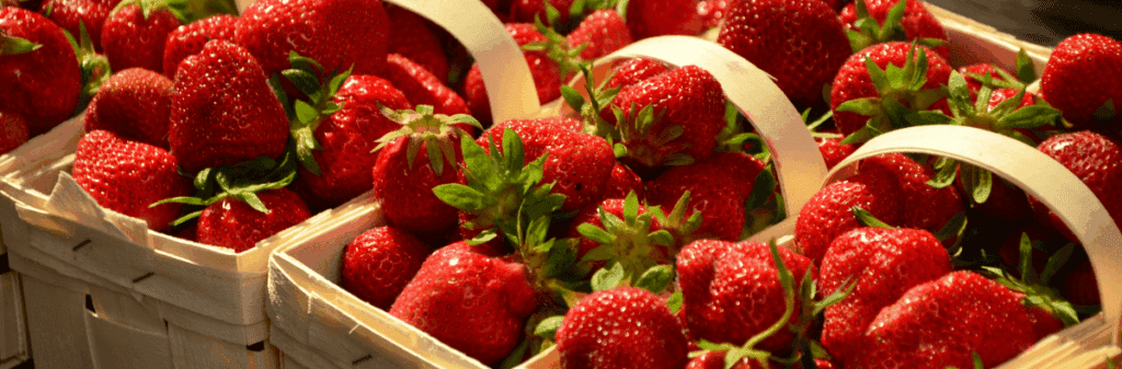 Fresh strawberries from small fruit growing piled in baskets, illuminated by sunlight.