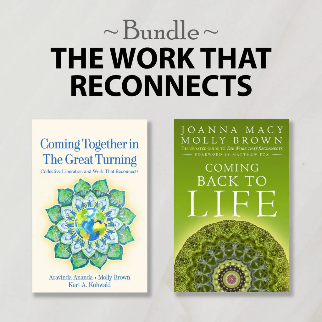 The Work That Reconnects Bundle: 2 books on a gray background.