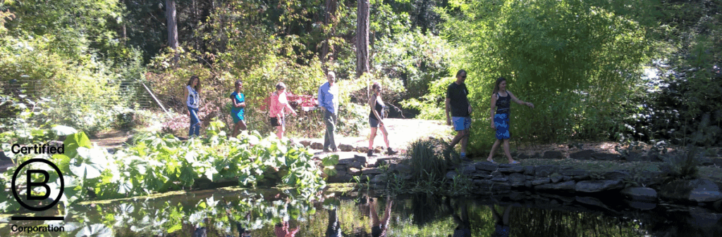 New Society Publishers, activist publisher staff walk in a line along a pond in a lush, sustainable wooded park on a sunny day.