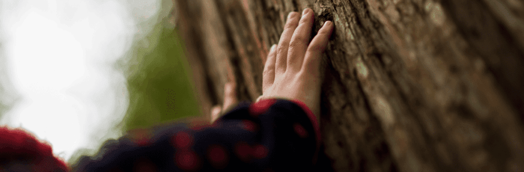 A child's hand touches tree bark, connecting to nature