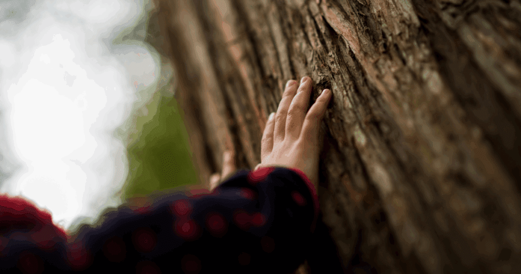 A child's hand touches tree bark, connecting to nature