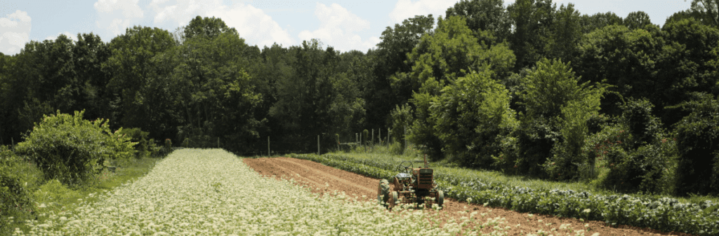 A tractor works crops on community-held land, bordered by green trees under a blue sky.