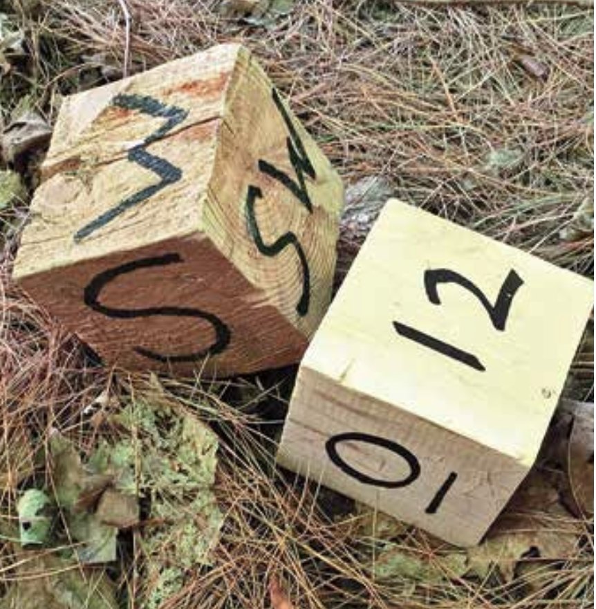 Two wooden cubes with compass directions and numbers—a fun activity for kids learning through play.