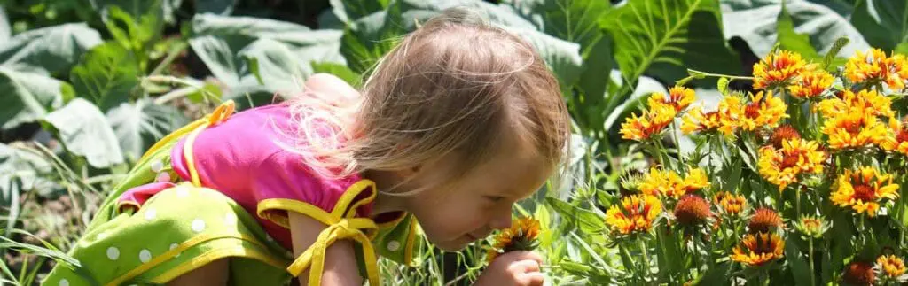 Young child in a school garden smelling yellow and orange flowers on a sunny day.