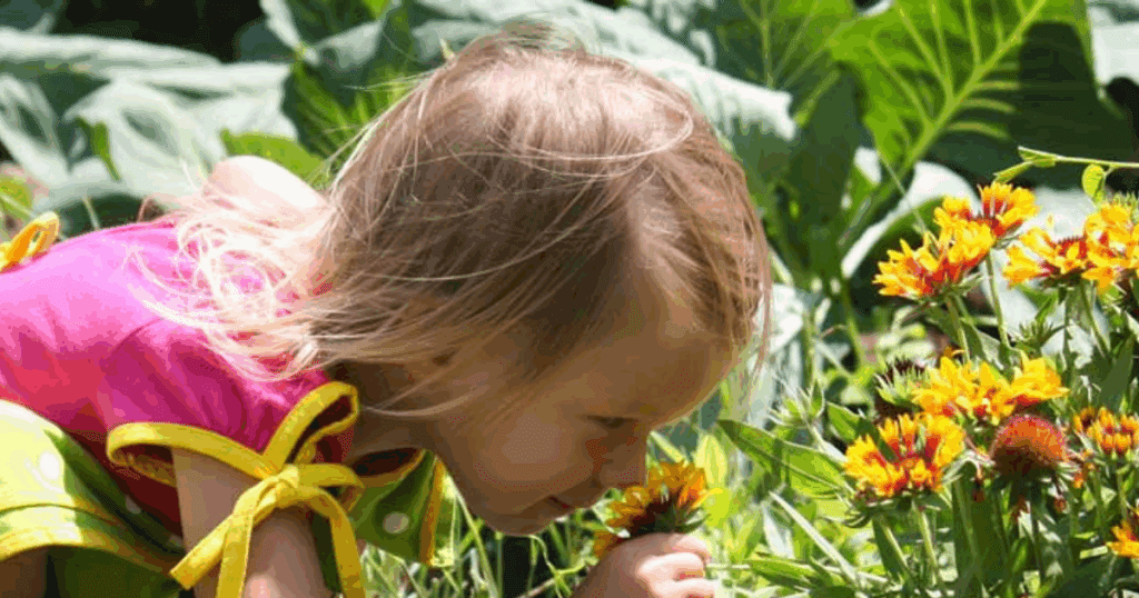 Young child smelling flowers in a school garden, learning about pollinators among green leaves.