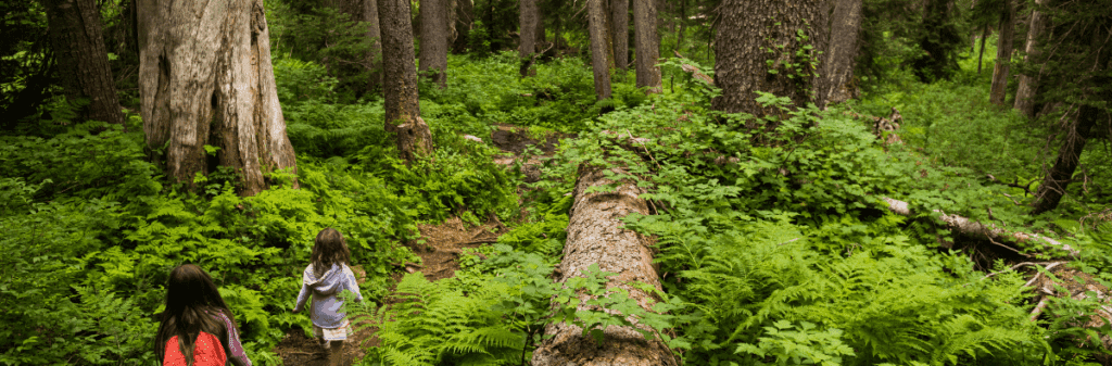 Two children walk a lush forest trail, gaining a Better Sense of Nature among tall trees and ferns.