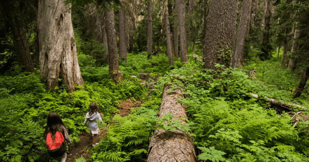 Two children walk a narrow trail, gaining a better sense of nature in the lush, green forest.