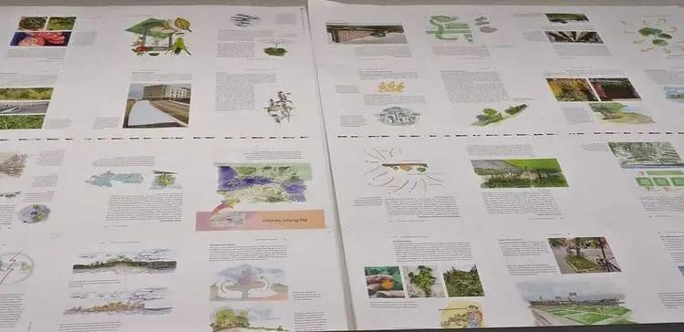 Two large sheets with colorful illustrations and New Society Publishers information displayed.