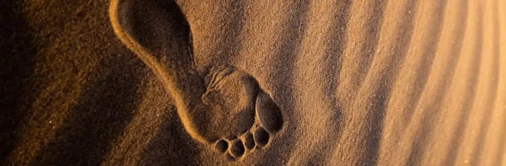 A single footprint in rippled sand, a subtle reminder of our 2.5 tonnes magic number.