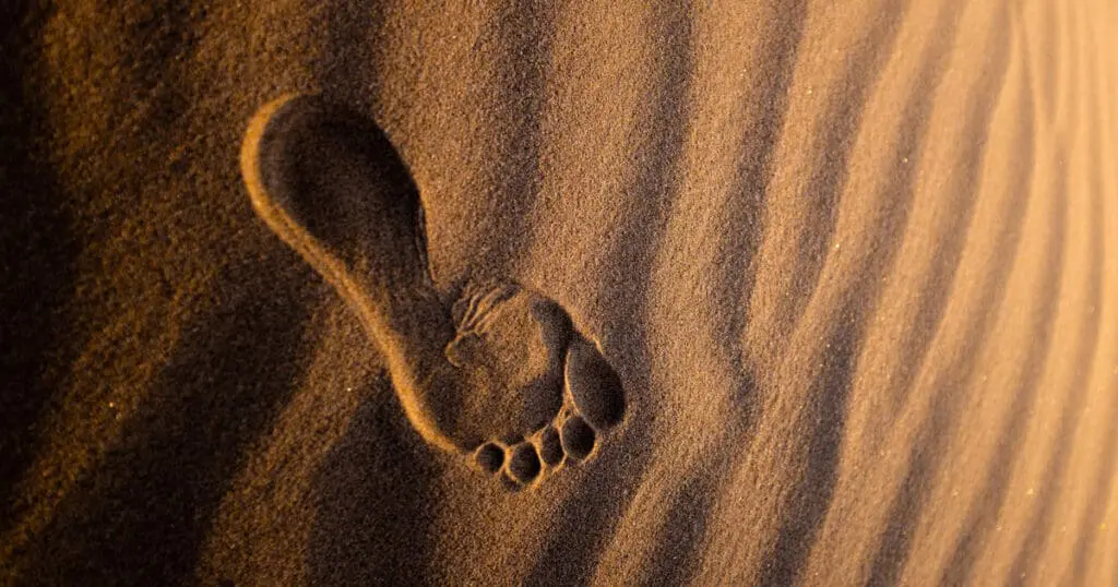 A single footprint in smooth, golden sand marks your magic number in carbon math.