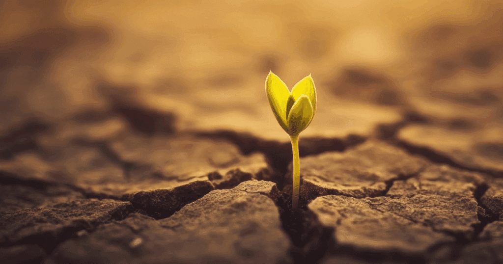 A green seedling grows through cracked earth, surviving in an imperfect, warming world.