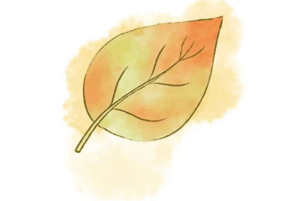 A watercolor illustration of an autumn leaf showing plant health in orange, yellow, and green hues.