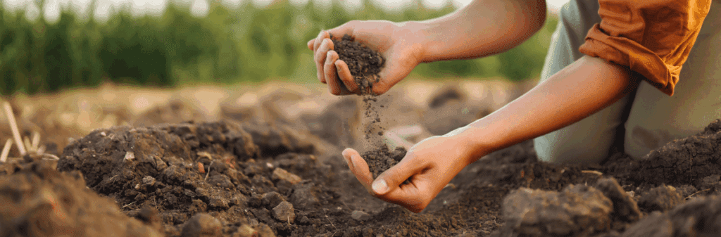 Person kneeling and letting soil fall through their hands, reflecting on plant health in a field.